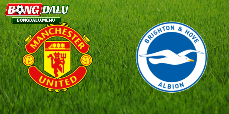 Brighton vs Manchester United 22:00 24/05 – Dự kiến đội hình ra sân và chiến thuật trận đấu