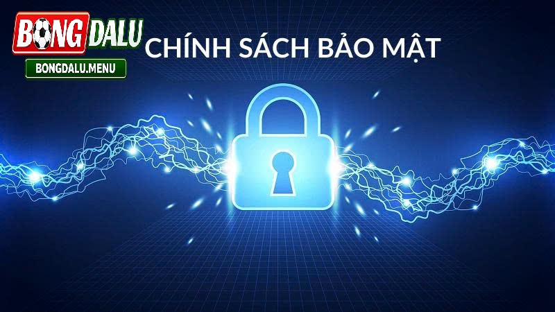 Dữ Liệu Người Dùng Được Thu Thập Trong Chính Sách Bảo Mật Bongdalu 2026
