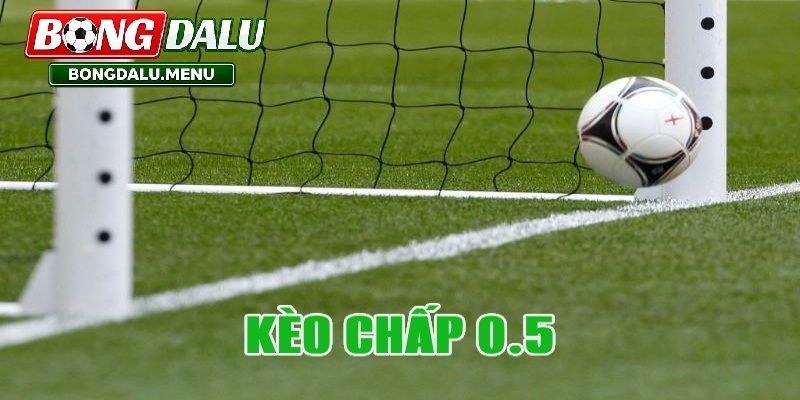 Kèo Chấp Nửa Trái – Những Yếu Tố Ảnh Hưởng Quan Trọng Khi Phân Tích